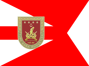 [Ground Forces guidon]